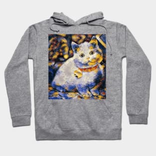 cat lover gifts for women Hoodie